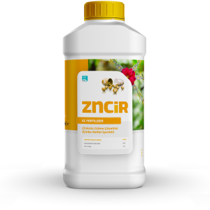 ZNCIR 5 LT